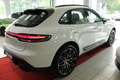 Porsche Macan T Standheizung*Panorama Weiß - thumbnail 7