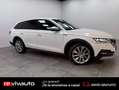 Skoda Octavia Combi 2.0TDI Scout 110kW DSG 4x4 Blanco - thumbnail 15
