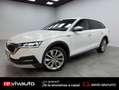 Skoda Octavia Combi 2.0TDI Scout 110kW DSG 4x4 Blanco - thumbnail 12