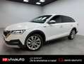 Skoda Octavia Combi 2.0TDI Scout 110kW DSG 4x4 Blanco - thumbnail 19