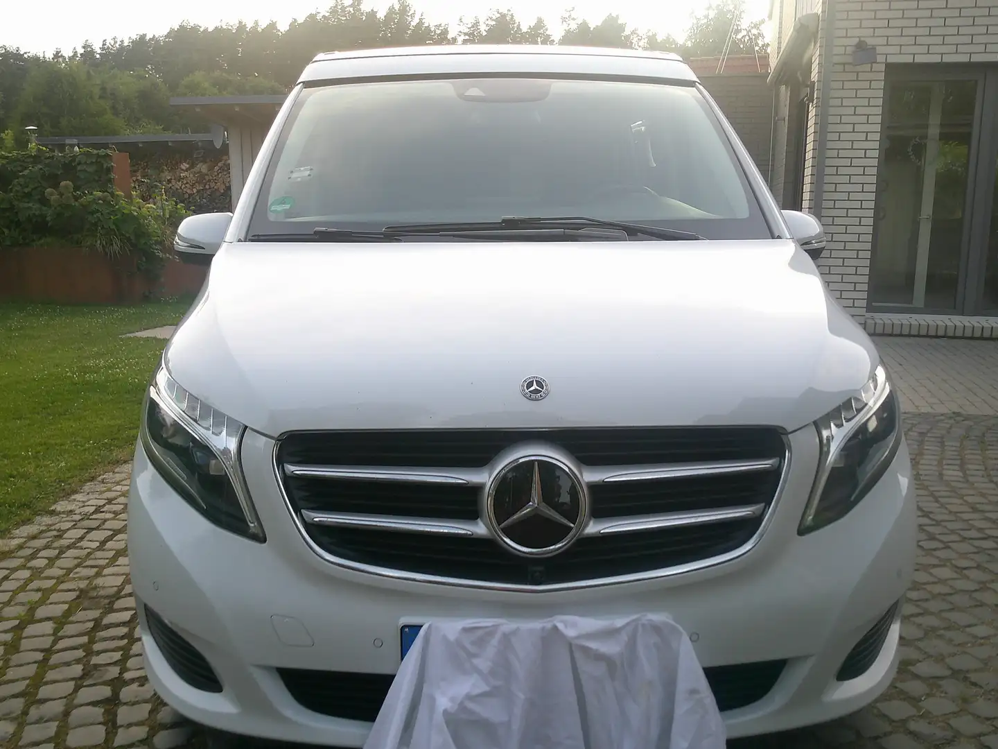 Mercedes-Benz V 250 Horizon Weiß - 2