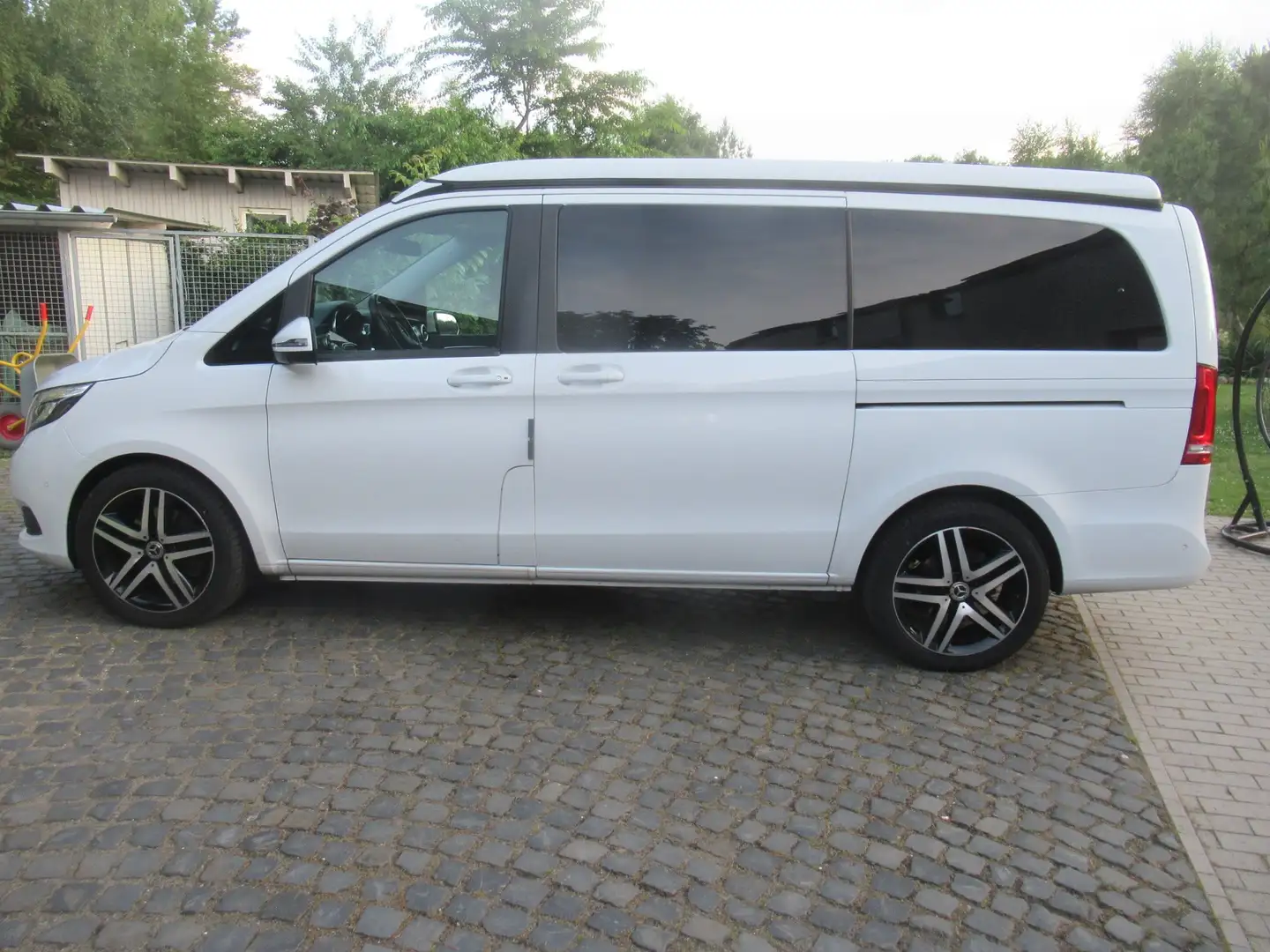 Mercedes-Benz V 250 Horizon Weiß - 1