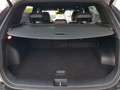 Kia Sportage Sportage 1.6 tgdi hev GT-line auto - thumbnail 15