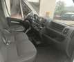 Fiat Ducato 335 2.2 BlueHDi 140CV S&S L3H2 FRIGO ZANOTTI 0°C Bianco - thumbnail 7