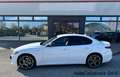 Alfa Romeo Giulia 2.0 T 280CV AT8 AWD Q4 Veloce / BIANCO / N7673442 Bianco - thumbnail 1