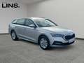 Skoda Octavia 4x4 Ambition TDI DSG Silber - thumbnail 7
