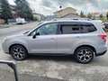 Subaru Forester Forester IV 2013 2.0d-L Exclusive Grigio - thumbnail 2