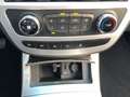 EVO Cross4 PICK UP 2.0 TDI 4X4 "IVA COMPRESA" Bleu - thumbnail 15