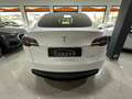 Tesla Model Y Dual Motor Long Range AWD Bianco - thumbnail 4