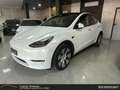 Tesla Model Y Dual Motor Long Range AWD Bianco - thumbnail 1