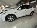 Tesla Model Y Dual Motor Long Range AWD Bianco - thumbnail 2