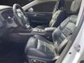 Renault Talisman Grandtour 1.8 TCe 225 GPF Initiale Paris *Pano*Led Weiß - thumbnail 9