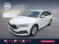 Skoda Octavia Style TDI DSG Weiß - thumbnail 1