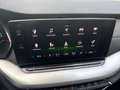 Skoda Octavia Style TDI DSG Weiß - thumbnail 13