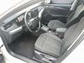 Skoda Octavia Style TDI DSG Weiß - thumbnail 8