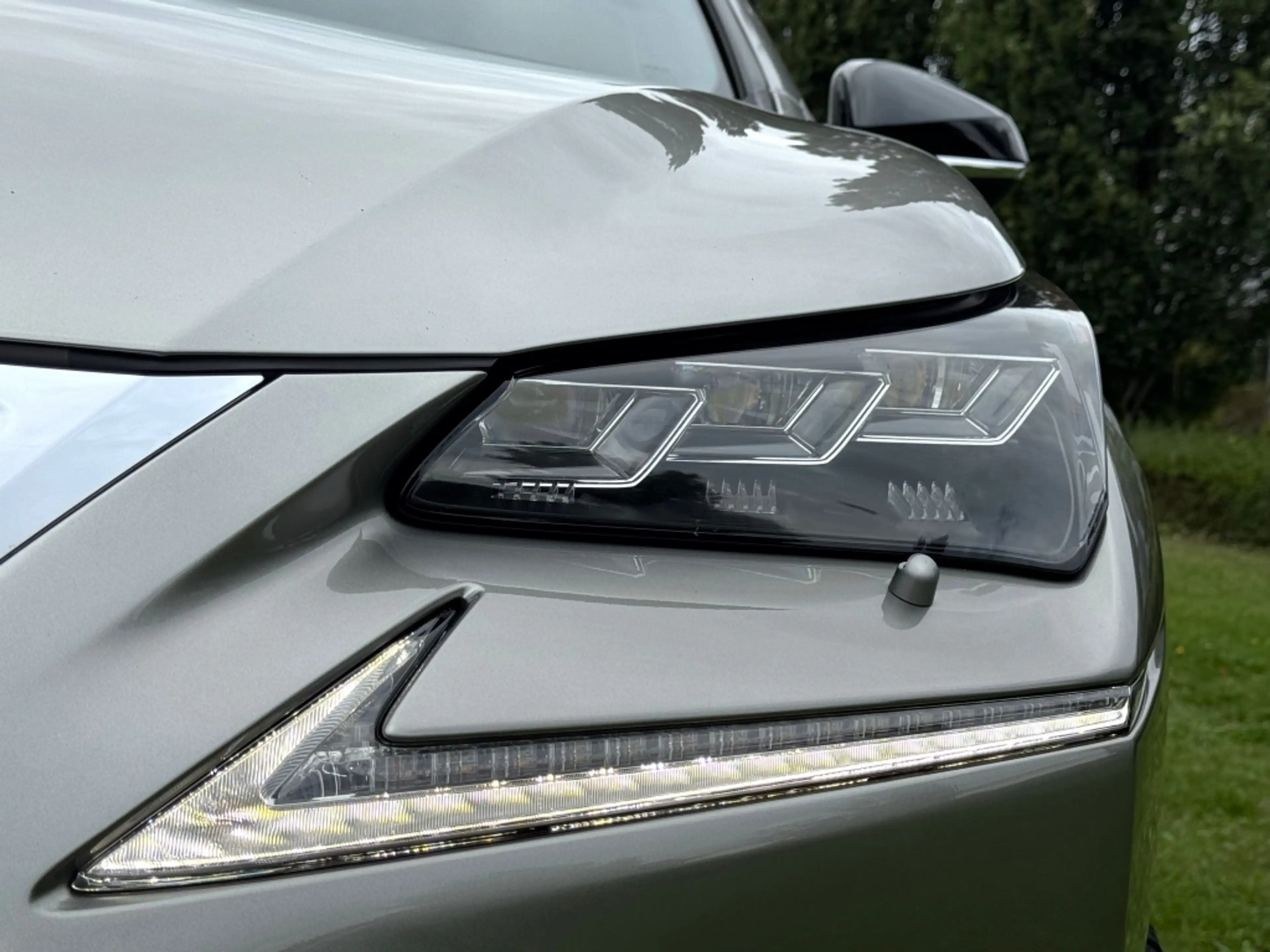 Lexus NX 300h AWD F Sport Trekhaak Schuifdak — photo 5