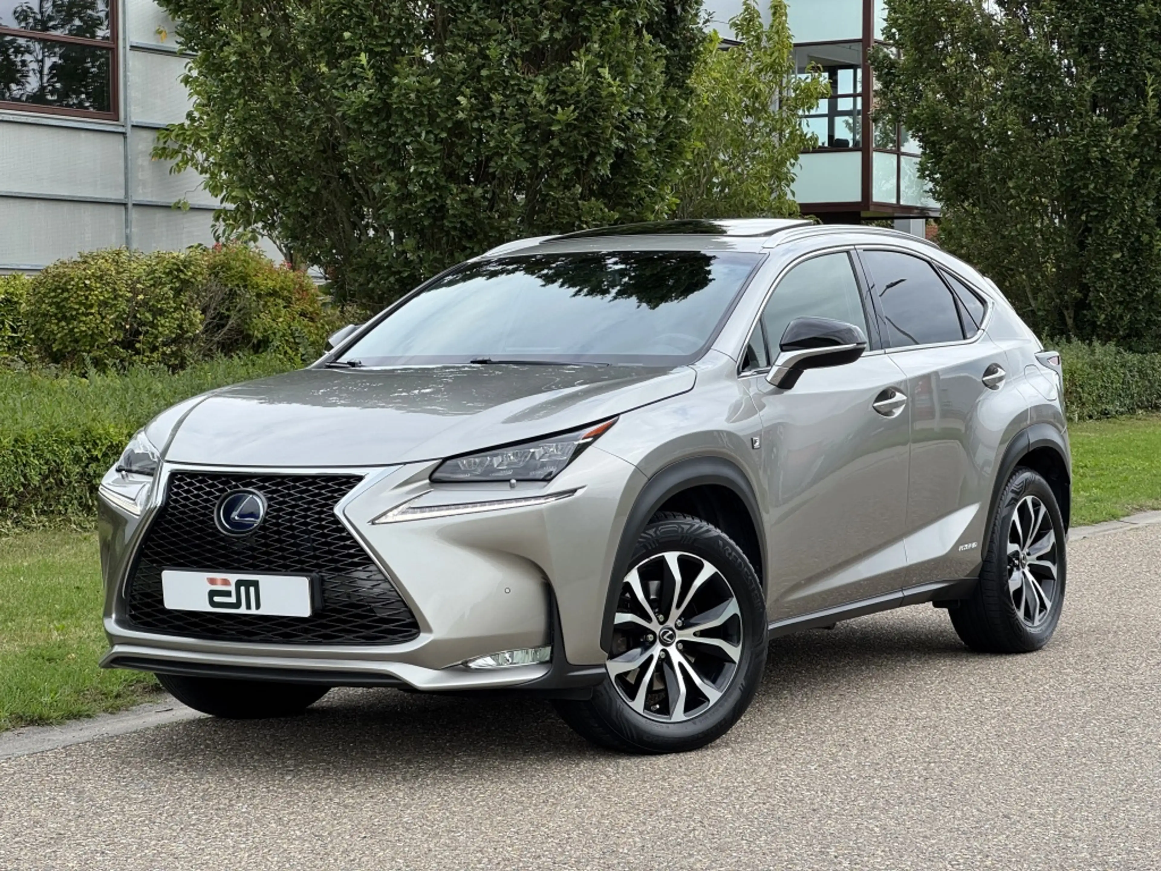 Lexus NX 300h AWD F Sport Trekhaak Schuifdak — photo 3
