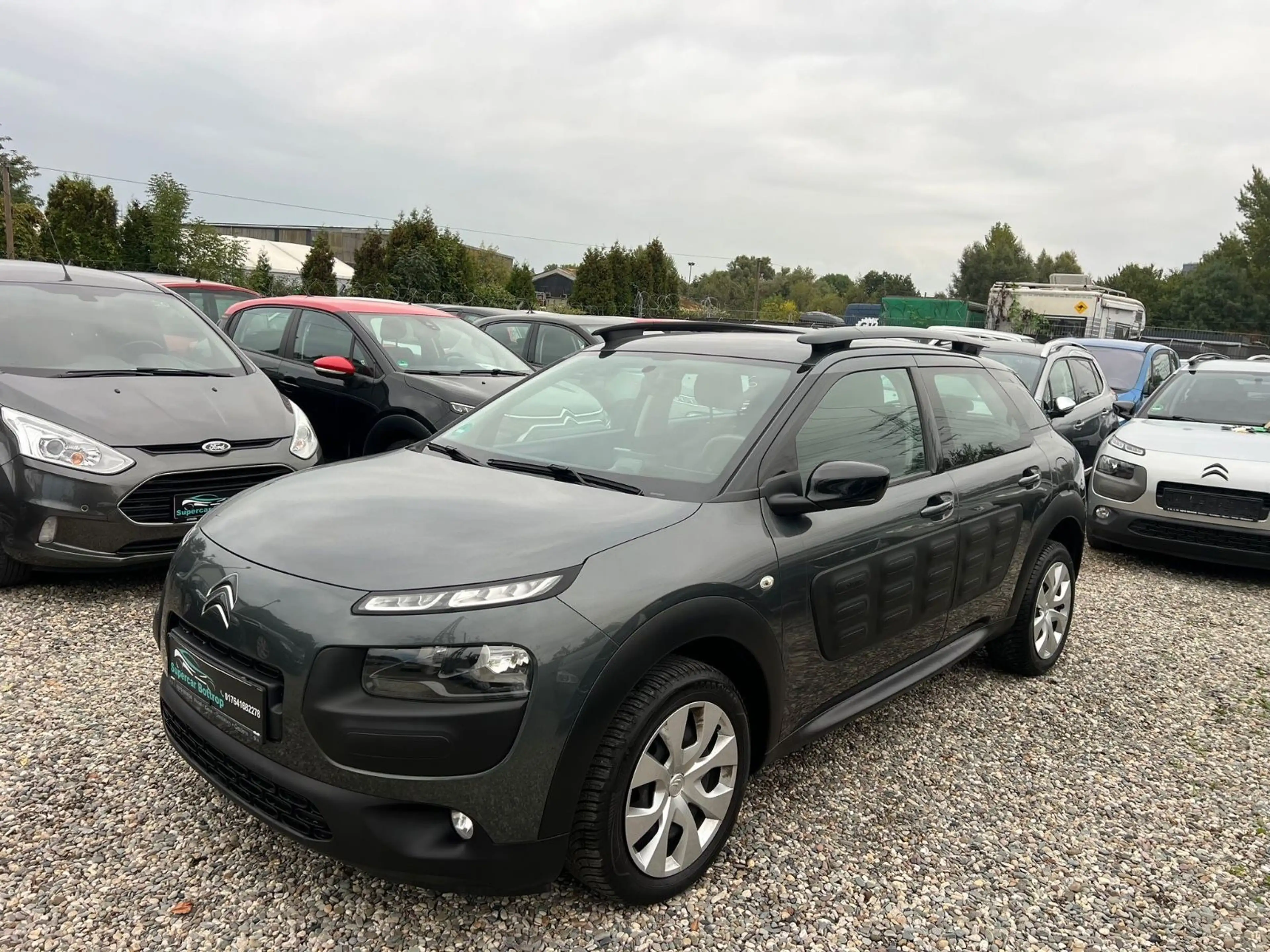 Citroen C4 Cactus Feel — photo 2
