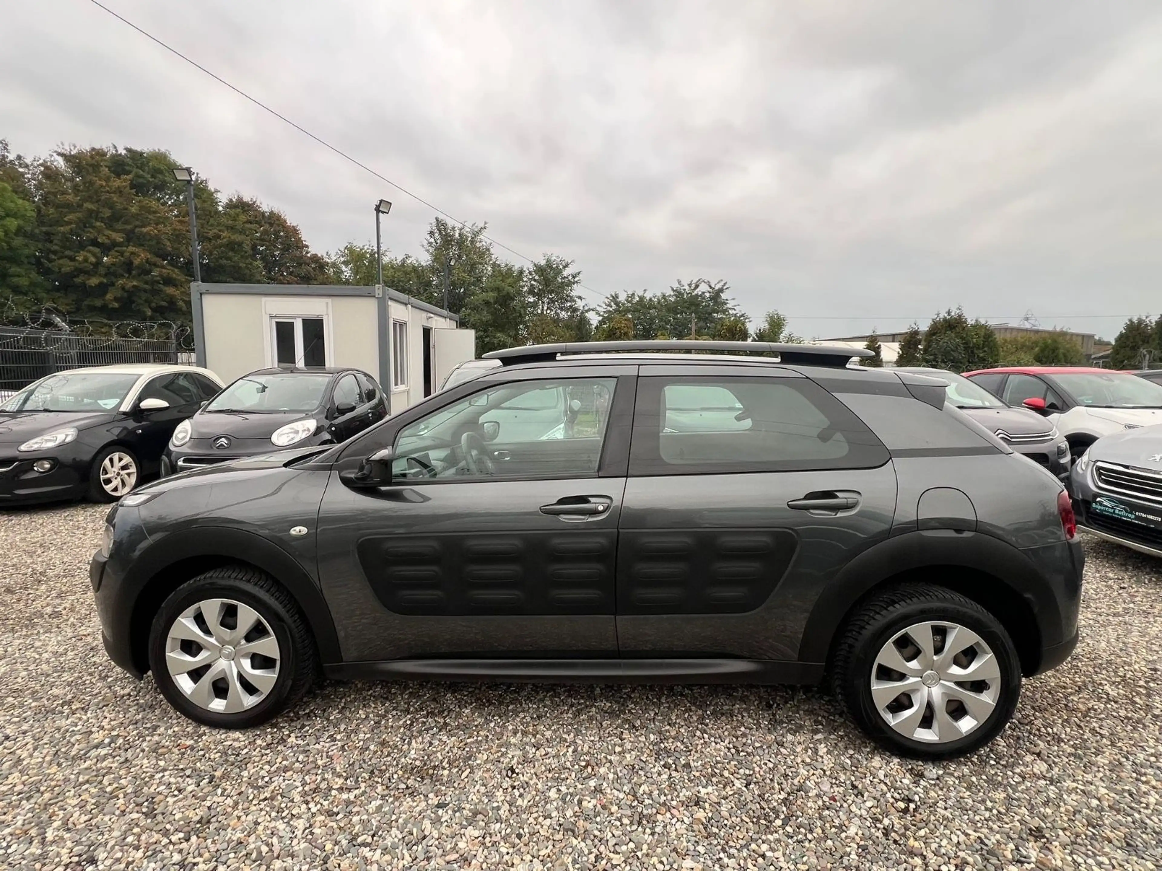 Citroen C4 Cactus Feel — photo 3