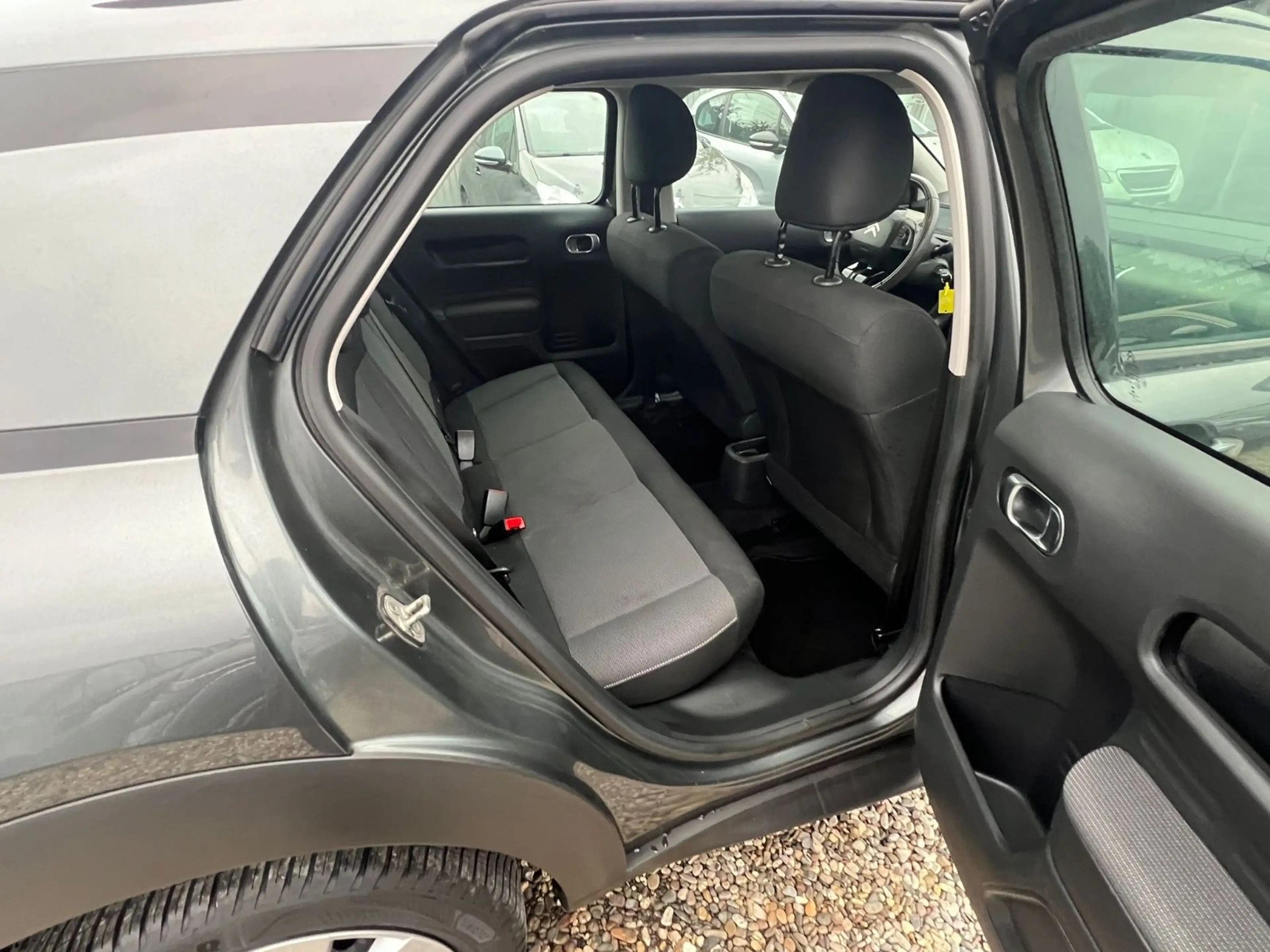 Citroen C4 Cactus Feel — photo 11