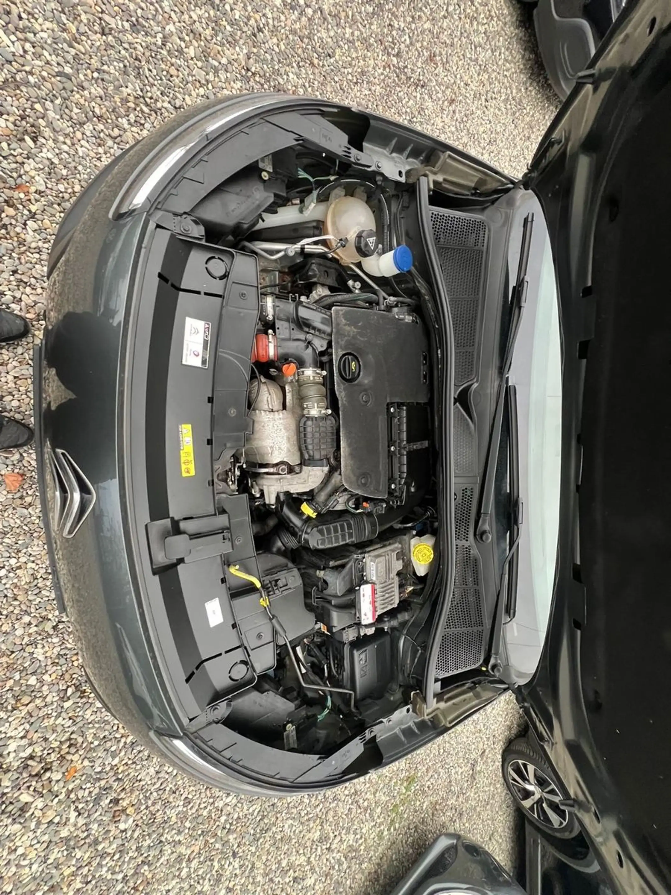 Citroen C4 Cactus Feel — photo 15