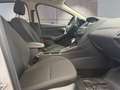 Ford Focus 1.5 EcoBoost Business  Automatik/AHK/Navi/Tempomat Silber - thumbnail 15
