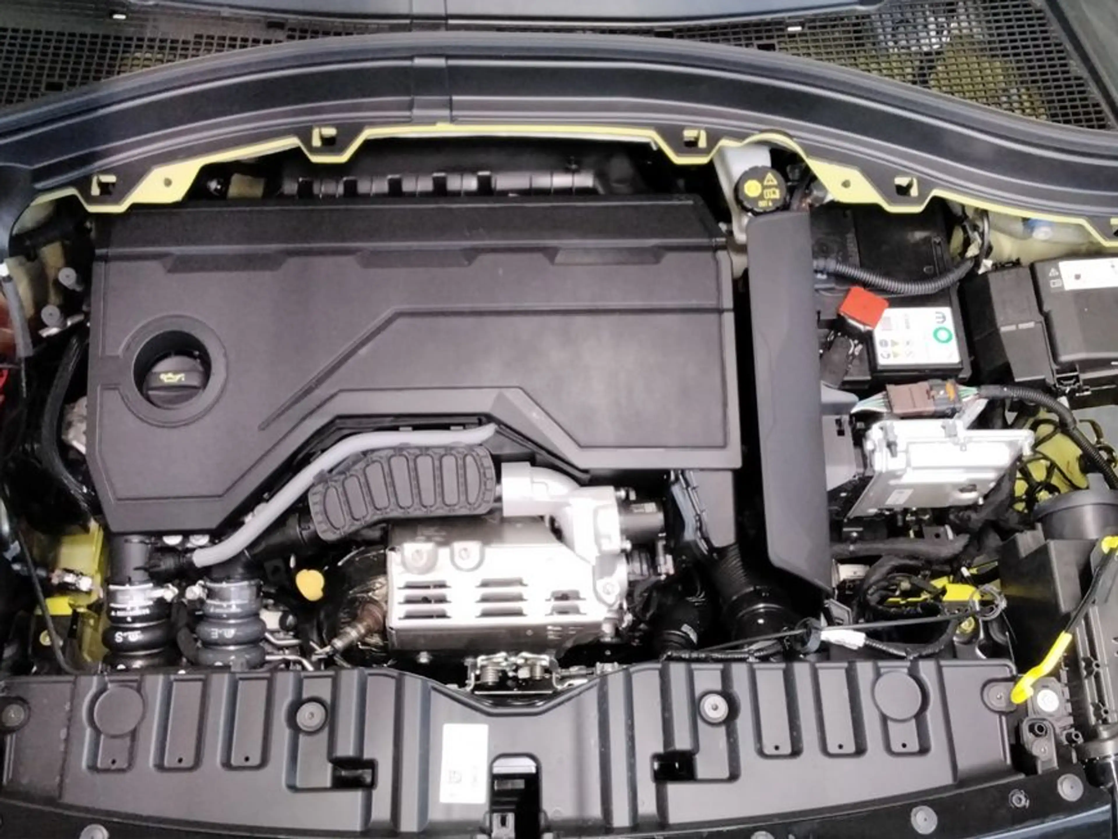 Fiat Grande Panda Hybrid 1.2 eDCT Business Edition — photo 22