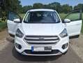 Ford Kuga Kuga 1.5 EcoBoost Weiß - thumbnail 5