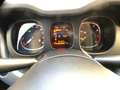 Fiat Panda Panda 1.0 hybrid City Cross S Neopatentati Grigio - thumbnail 13