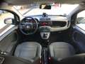 Fiat Panda Panda 1.0 hybrid City Cross S Neopatentati Grigio - thumbnail 11