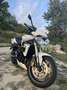 Triumph Street Triple 675 Blanc - thumbnail 3