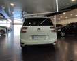 Citroen C4 Cactus PureTech 96KW (130CV) S&S 6v EAT6 Feel Blanc - thumbnail 17