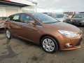 Ford Focus Lim. Champions Edition Zahnriemen neu Braun - thumbnail 8