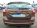 Ford Focus Lim. Champions Edition Zahnriemen neu Braun - thumbnail 5