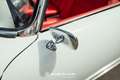 Alfa Romeo 2000 SPIDER TOURING FULLY RESTORED Білий - thumbnail 14