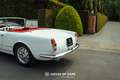 Alfa Romeo 2000 SPIDER TOURING FULLY RESTORED Wit - thumbnail 22