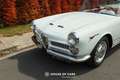 Alfa Romeo 2000 SPIDER TOURING FULLY RESTORED Wit - thumbnail 13