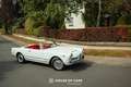 Alfa Romeo 2000 SPIDER TOURING FULLY RESTORED Wit - thumbnail 8