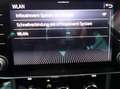 Skoda Superb 2.0 TDI Ambition 4x4 DSG+Business Amundsen+LED Blau - thumbnail 41