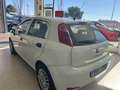 Fiat Punto 1.3Mjt Young E5+ Blanco - thumbnail 6