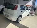 Fiat Punto 1.3Mjt Young E5+ Blanco - thumbnail 5