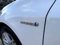 Toyota Corolla Touring Sports 125H Business Blanco - thumbnail 17