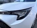 Toyota Corolla Touring Sports 125H Business Blanco - thumbnail 12