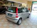 Fiat Panda Panda 1.2 Free Ride Silber - thumbnail 6