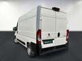 Peugeot Boxer III Asphalt Blanc - thumbnail 6