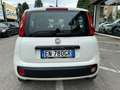Fiat Panda 1.2 Easy 69cv,UNICO PROP.,50.000km,CLIMA,RADIO,OK Blanc - thumbnail 4