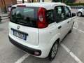 Fiat Panda 1.2 Easy 69cv,UNICO PROP.,50.000km,CLIMA,RADIO,OK Bianco - thumbnail 3
