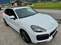 Porsche Cayenne E-Hybrid Sport Design Paket 21zoll Turbo Rad Weiß - thumbnail 17