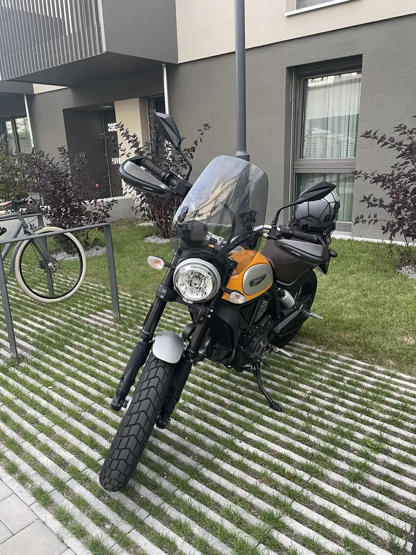 Ducati Scrambler classic 2016 Galben - 1