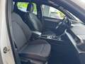 SEAT Leon FR e-Hybrid "LED/Pano/R-Kamera/VirtualC." Weiß - thumbnail 12